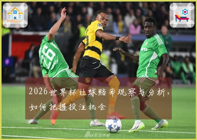 2026世界杯让球赔率观察与分析，如何把握投注机会