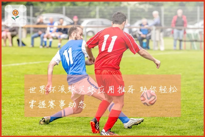 世界杯滚球买球应用推荐 助你轻松掌握赛事动态